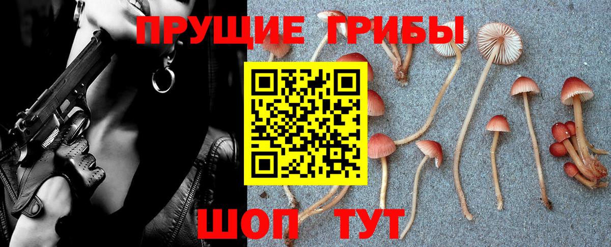 Галлюциногенные грибы прущие грибы Лесной